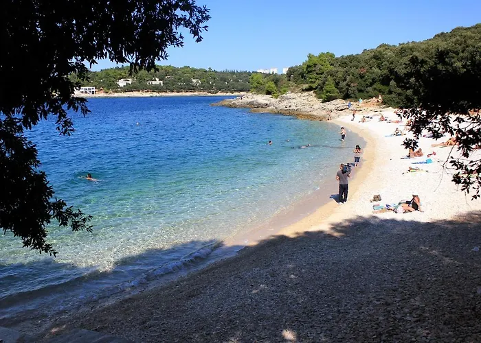 Apartment With Wifi - 14582 Pula